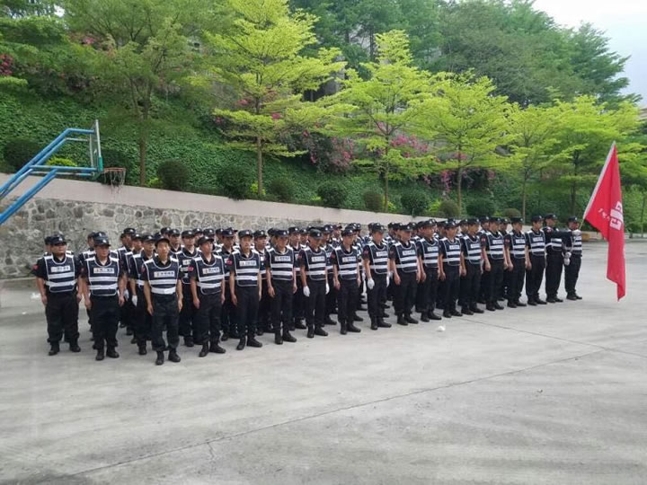 樂從執法隊
